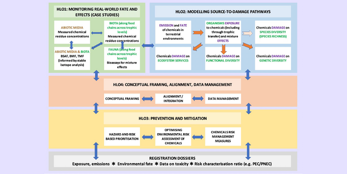 eine grafische Übersicht über die verschiedenen Arbeitspakete des Projektes