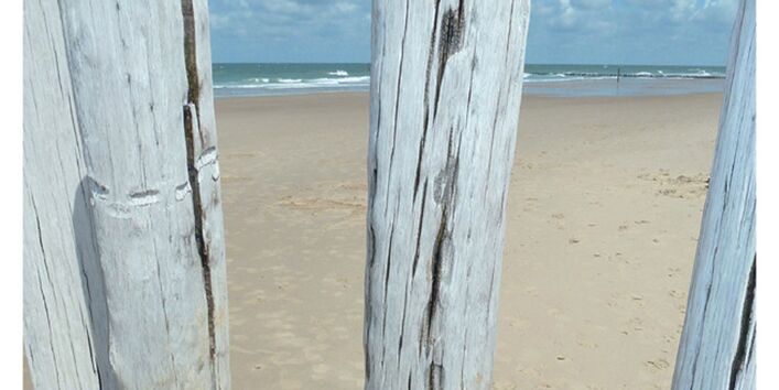 Cover von "Anpassung an den Klimawandel: Küstenschutz", Titelfoto: Strand mit einer Reihe senkrecht eingegrabener Stämme gegen Erosion