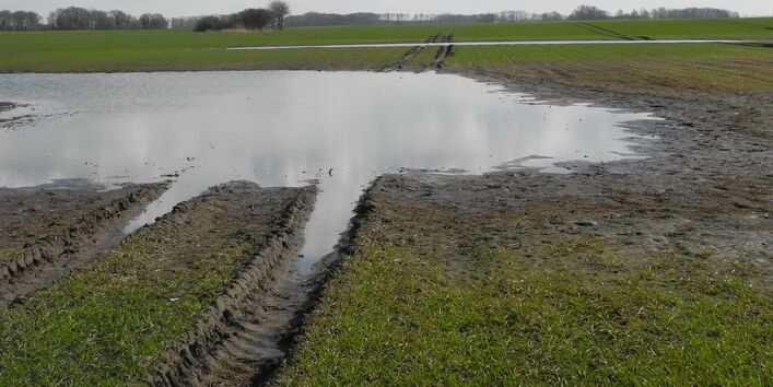 Eine tiefe Fahrspuhr auf einem Ackerboden mit oberflächlichem Stauwasser