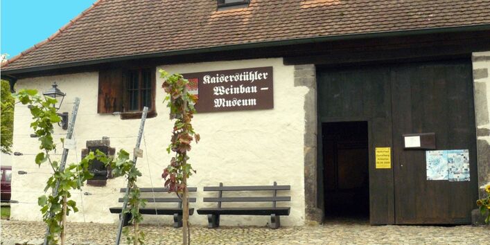 Auf dem Foto ist das Alte Gebäude des Museums zu sehen mit Weinreben und Sitzbänken.