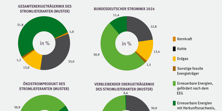 Die Grafik zeigt vier Kreisdiagramme mit verschiedenen Arten von Strommixen