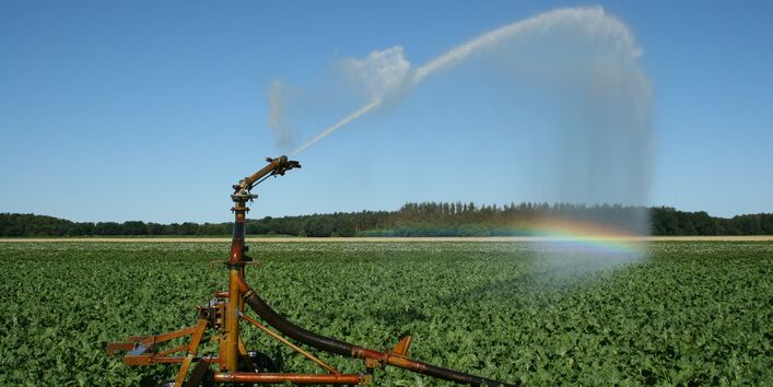 irrigation of a field
