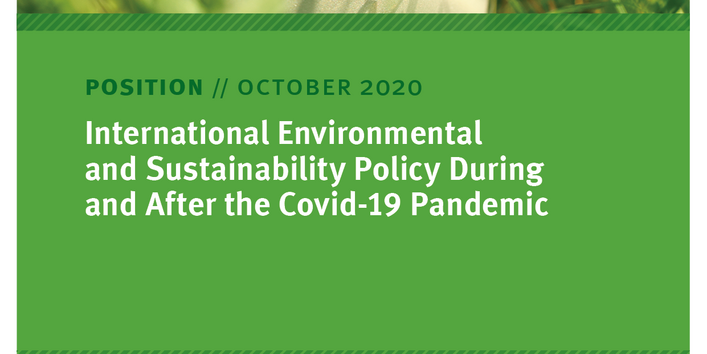 Cover of the Position Paper "International Environmental and Sustainability Policy During and After the Covid-19 Pandemic" from the German Environment Agency, as at October 2020