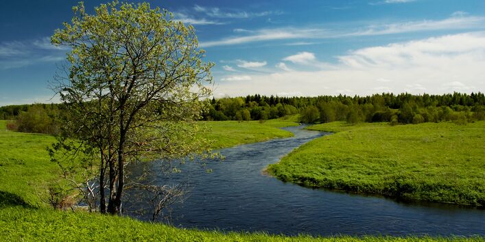 Flussbiegung in einer Landschaft aus Wiesen, Feldern und Wäldern, an der Flussbiegung steht ein Baum