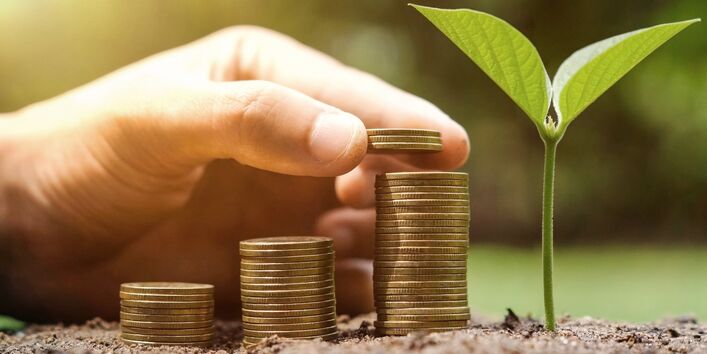 Hand stapelt Münzen auf die Erde neben einen Keimling