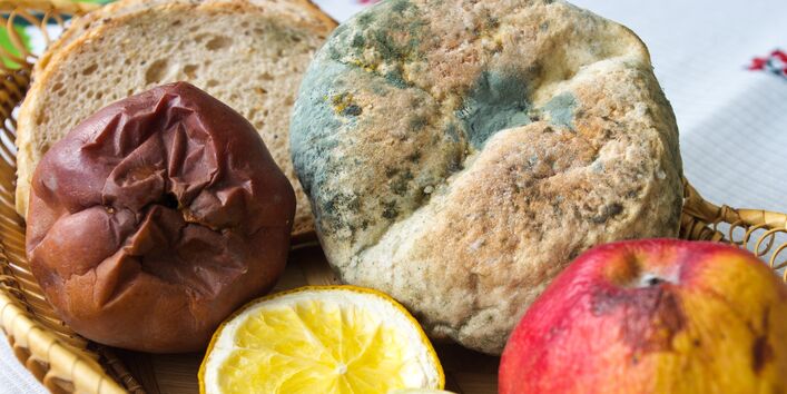 in einem Korb liegen ein verschimmeltes Brötchen, zwei verfaulte Äpfel und eine eingetrocknete Zitrone