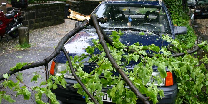 ein abgebrochener Ast liegt auf einem Auto in einem Wohngebiet