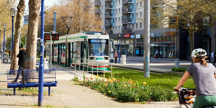 Straße in der Stadt mit Bäumen, Begleitgrün, Radweg und Straßenbahn