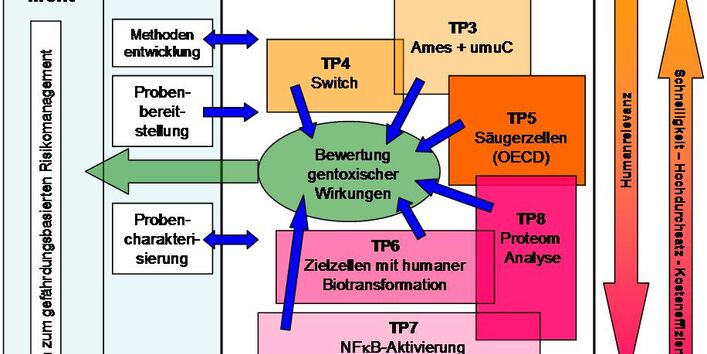 Das Fließdiagramm beschreibt die Zusammenhänge zwischen den Teilmodulen 3-8 im Modul Gentoxizität 