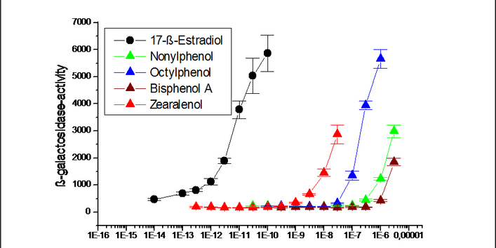 Nachweis der östrogenen Wirkung von 17-ß-Estradiol, Nonylphenol, Octylphenol, Bisphenol A, Zearalenol