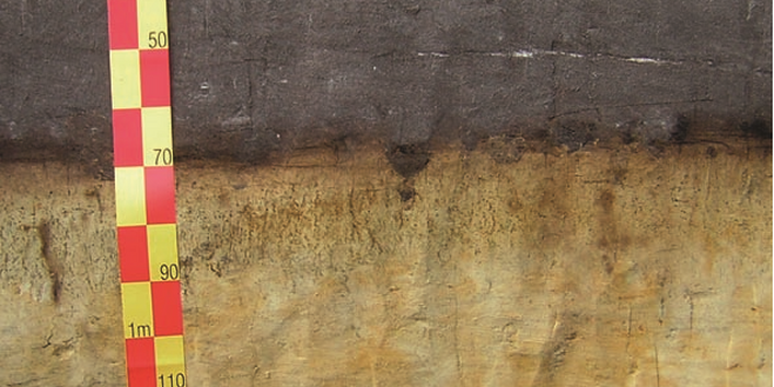 Querschnitt des Bodentyps "Grauer Plaggenesch" von der mit Gras bewachsenen Oberfläche bis zu 1,7 Metern Tiefe.