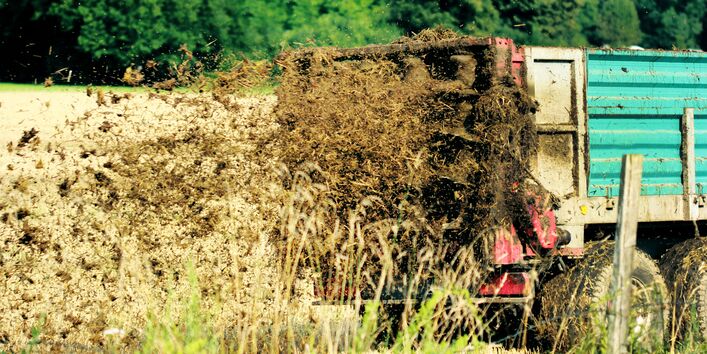 Miststreuer verteilt Kompost auf einem Feld