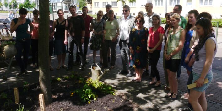 Mitarbeiter des UBA pflanzen in der Dessauer Innenstadt ein Blumenbeet (Baumscheibe). Hier sehen Sie sich das Resultat ihrer Arbeit an. 