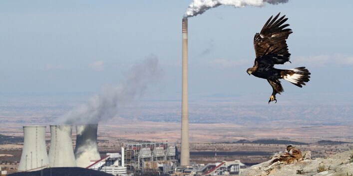 Adler und Kraftwerk