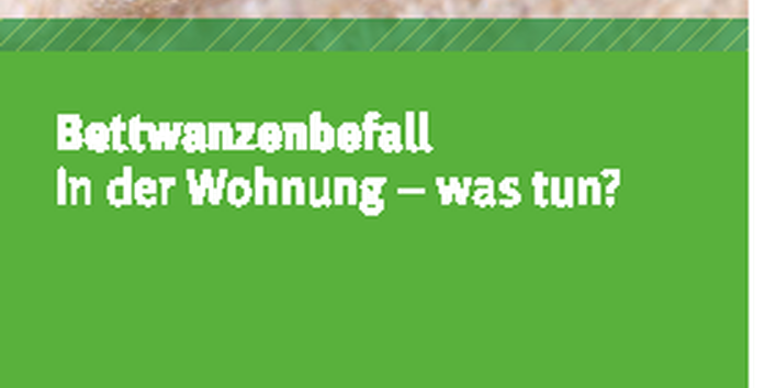 Cover des Faltblatts "Bettwanzenbefall in der Wohnung - Was tun?" mit einer Silhouette einer Bettwanze