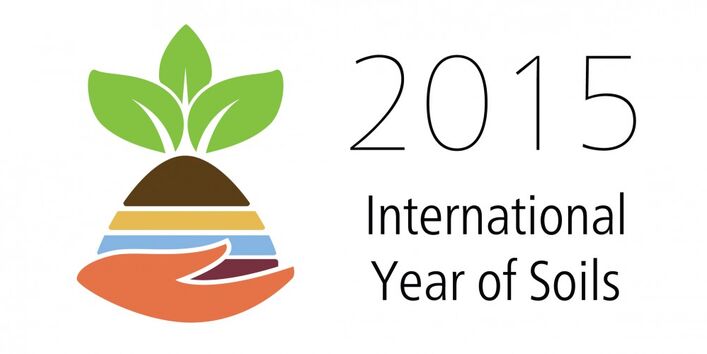 Logo International Year of Soil