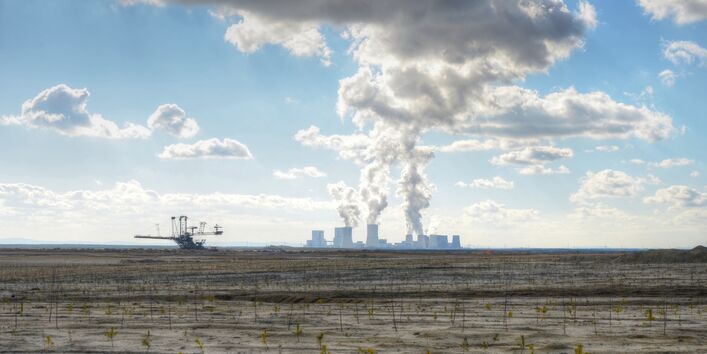 kleine Kiefern in der Tagebaufolgelandschaft mit Bagger und Kraftwerk im Hintergrund