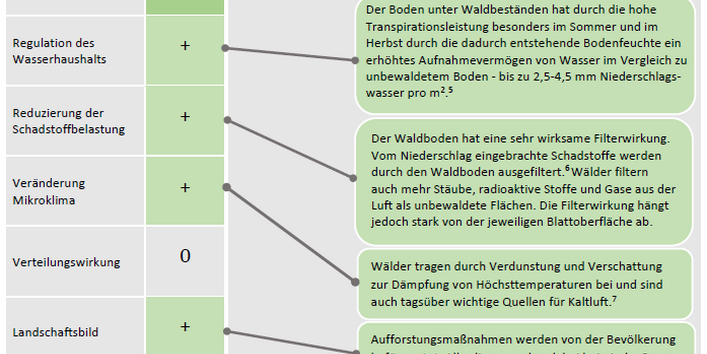 Darstellung einer erweiterten Bewertung der Maßnahme Aufforstung / Wiederaufforstung nach den Kriterien Biodiversität, Reduzierung Treibhausgasausstoß, Regulation des Wasserhaushalts, Reduzierung der Schadstoffbelastung, Veränderung Mikroklima, Landschaftsbild, Erholungsnutzen der Landschaft, Gesamtbilanz Wohlfahrtseffekte