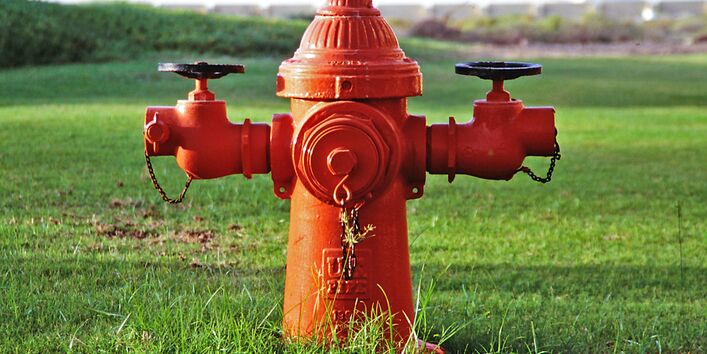 Roter Hydrant in grüner Landschaft.