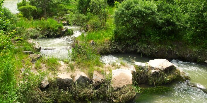 Renaturiertes Flüßchen.