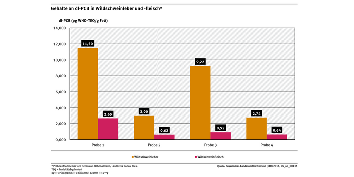 In Wildschweinleber lag eine deutlich höhere Akkumulation als in Wildschwein Fleisch vor. 