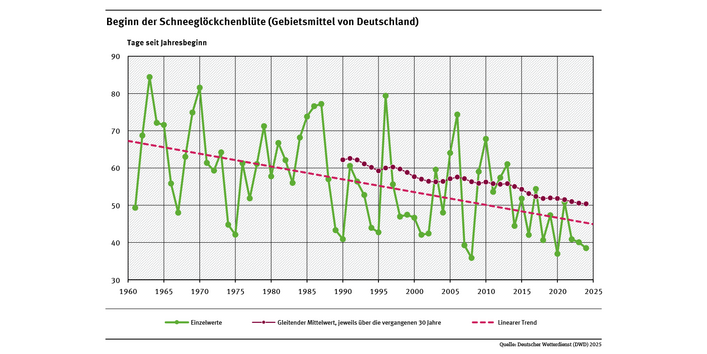 Das Liniendiagramm zeigt den Zeitpunkt des Blühbeginns des Schneeglöckchens (Tage ab Jahresbeginn, Gebietsmittel für Deutschland) seit 1961. Der lineare Trend zeigt, dass sich der Zeitpunkt tendenziell in Richtung Jahresbeginn verschiebt. 