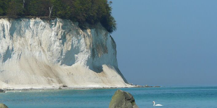 Kreidefelsen auf Rügen