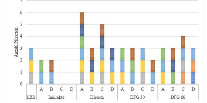 Farbliche Darstellung in einem Säulendiagramm 