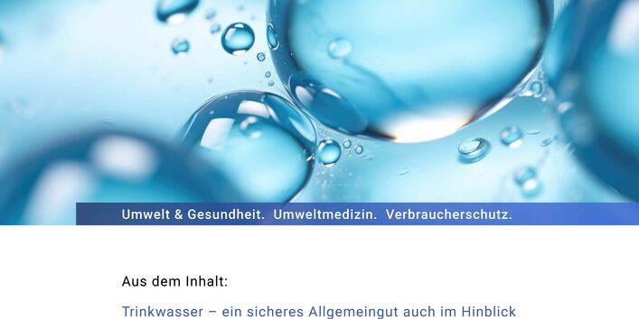 Das Cover der Publikation