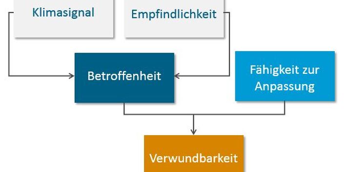 Die Grafik zeigt, dass das Klimasignal und die Empfindlichkeit die Betroffenheit einer Kommune beeinflussen. Betroffenheit und die Fähigkeit zur Anpassung wiederum beeinflussen die Verwundbarkeit.