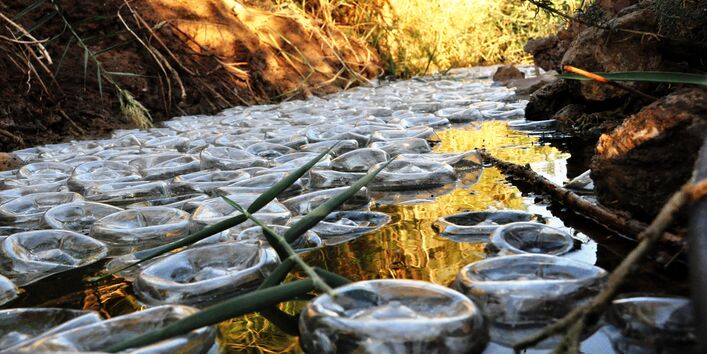 In einem Waldbach schwimmen viele Plastikflaschen mit dem Boden nach oben