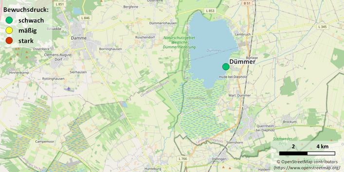 Kartenausschnitt Dümmer