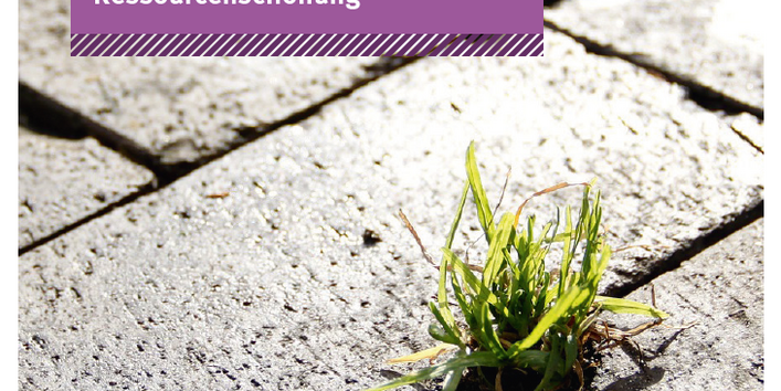 Die Zukunft im Blick: Sozio-ökonomische und sozio-kulturelle Trends der Ressourcenschonung