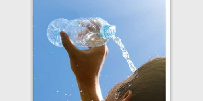 Das Cover der Publikation.