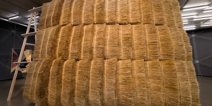 "Wir, in Augenschein genomen“, 2019, Installation im Kunsthaus Graz