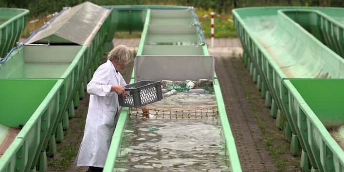 Ein grünes Rohr ist mit Wasser gefüllt, ein Mann mit einem weißen Kittel füllt Plastik ein.