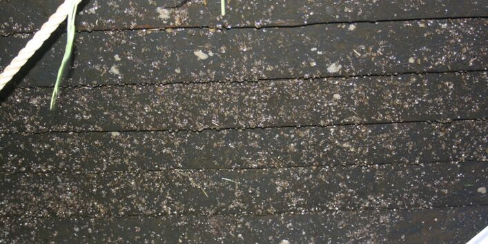 Folkeboot mit erodierender biozidfreier Beschichtung, Ratzeburger See am 10.10.2016