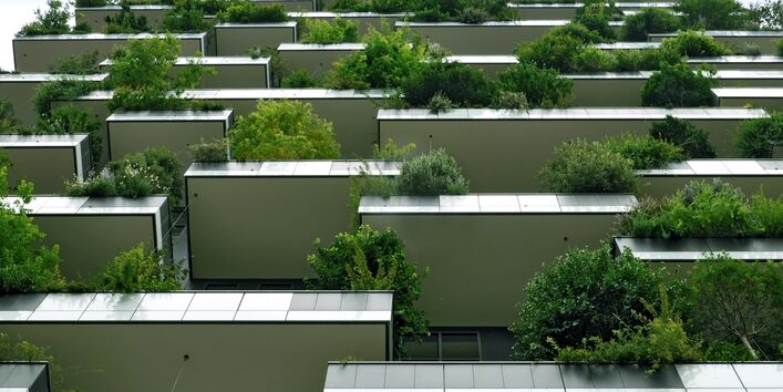 Bioinspirierte Siedlungsentwicklung und Architektur