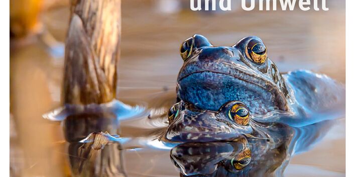 Geburtstagskalender: Arzneimitteln und Umwelt