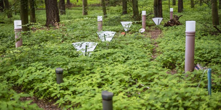 Measuring devices in the forest