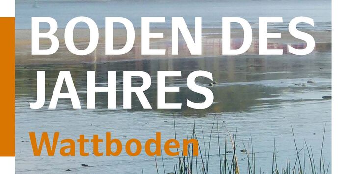 Bild vom Watt vor einem befahrenen Fluss