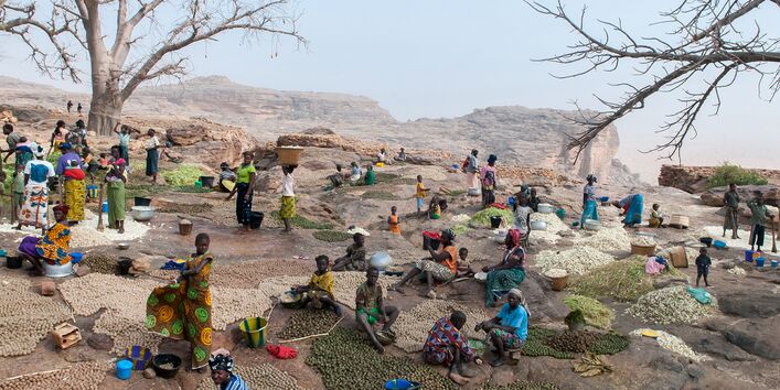 Ländliche Gemeinschafte breitet ihre Kartoffelsorten auf einem steinigen Berghang aus.