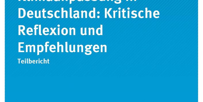 Titelseiten_CC_17-2020__Beteiligungsprozess-DAS_Reflexion