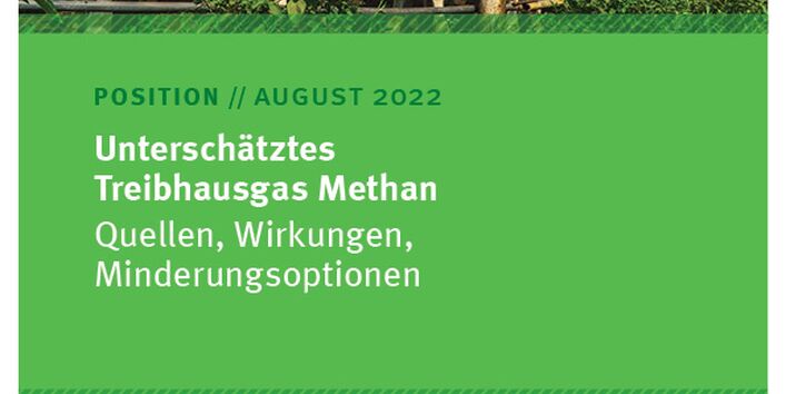 Kühe in einem Stall