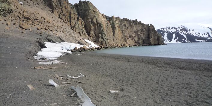 Man blickt nach links an einem Strand in der Antarktis entlang. Es türmen sich kliffartige Felsen auf. Weit im Hintergrund schneebedeckte Berge. 