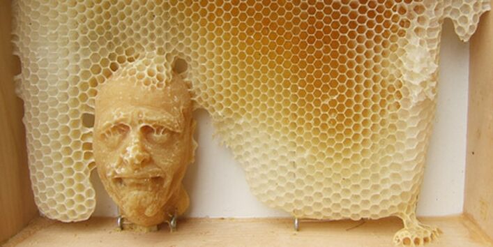 Kunstwerk aus Wachsgesichtern & Bienen