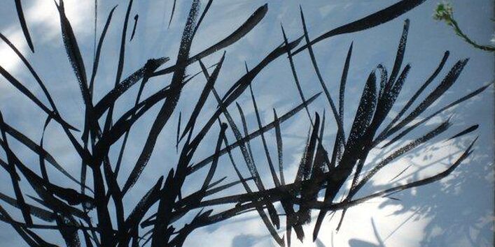 Pinselstriche auf Papier, die aussehen wie ein Strauch; Spiel von Licht und Schatten