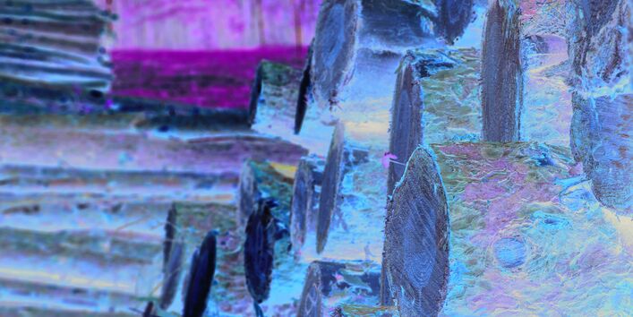 Das Bild zeigt aufgestapelte Holzstämme.