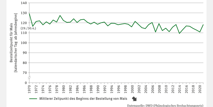 Das Liniendiagramm LW-R-1 "Anpassung von Bewirtschaftungsrhythmen" zeigt für den Zeitraum von 1970 bis 2021 den mittleren Zeitpunkt des Beginns der Bestellung von Mais als kalendarischen Tag ab Jahresbeginn. Die Zeitreihe verläuft leicht schwankend, aber signifikant fallend: Der bisher späteste Beginn der Bestellung erfolgte im Jahr 1970 am 130. Tag des Jahres, Anfang Mai. Im Jahr 2021 begann die Bestellung bereits am 119. Tag des Jahres Ende April.