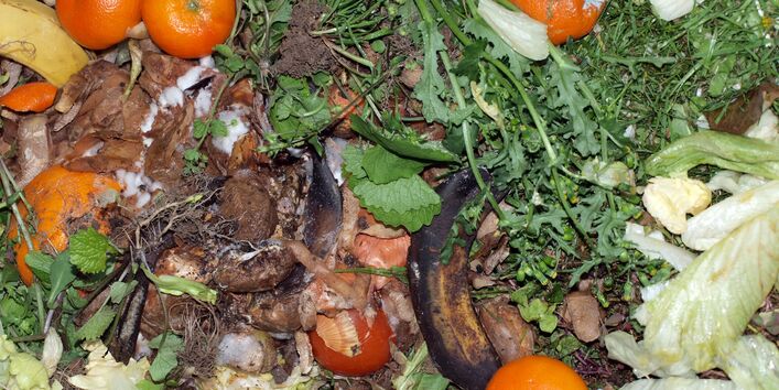 Kompost mit Gemüse- und Obstresten